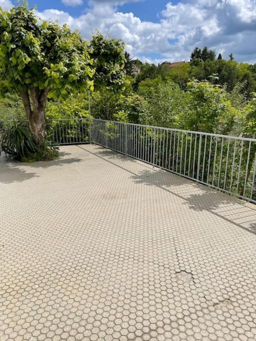 Paisible Eden Standing Terrasse - Magnifique Vue - Esprit Nature En Pleine Ville Tulle Exterior photo