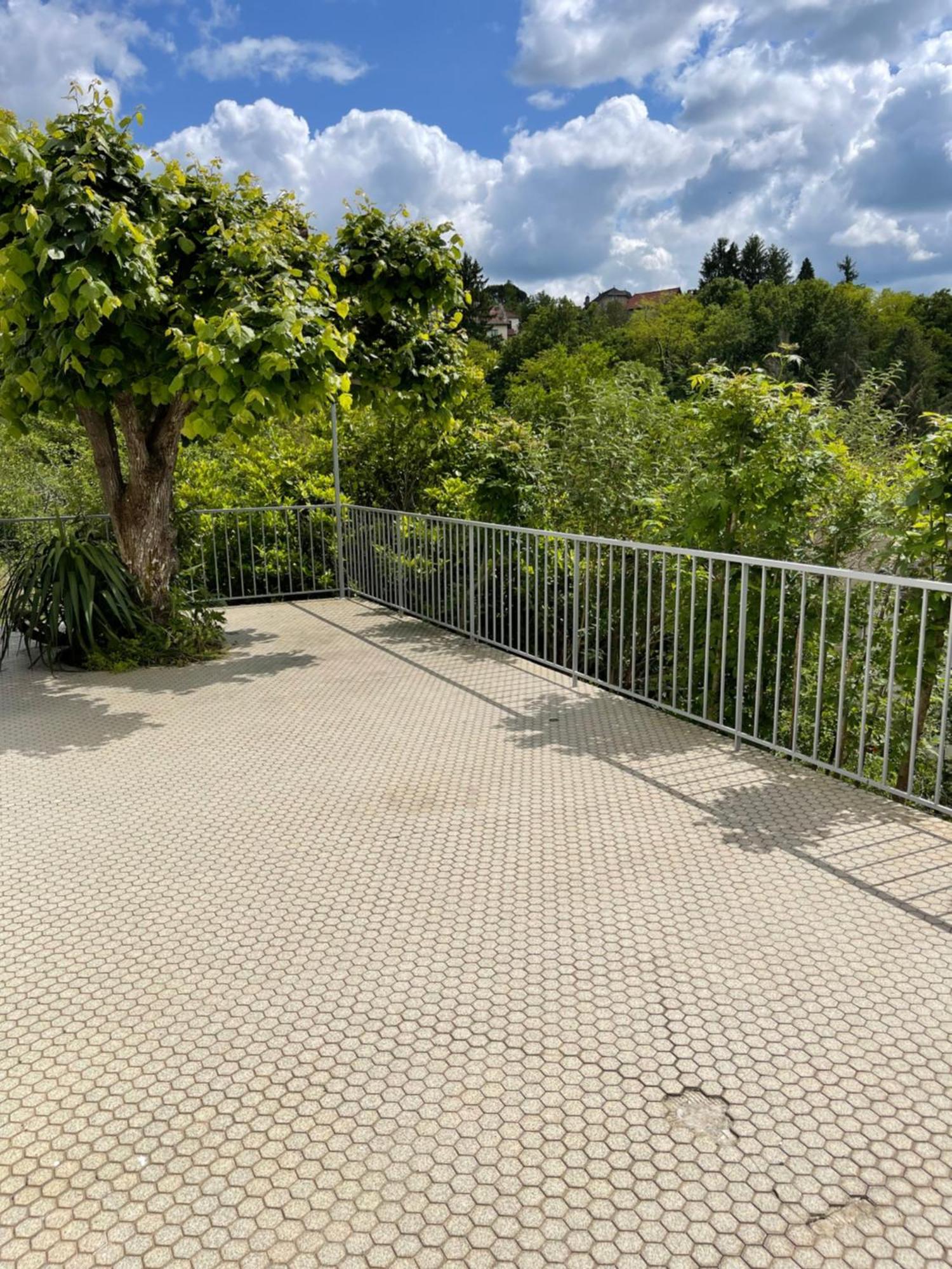 Paisible Eden Standing Terrasse - Magnifique Vue - Esprit Nature En Pleine Ville Tulle Exterior photo